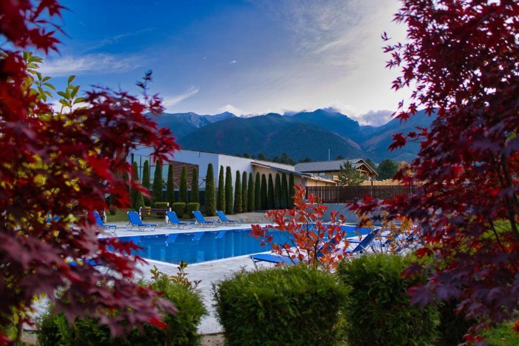 Local Stay Hotel, BW Signature Collection Bansko Bagian luar foto
